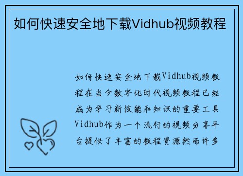 如何快速安全地下载Vidhub视频教程